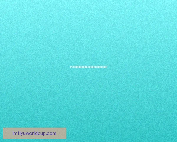 IM体育数据助力精准分析提升赛事策略与球员表现洞察